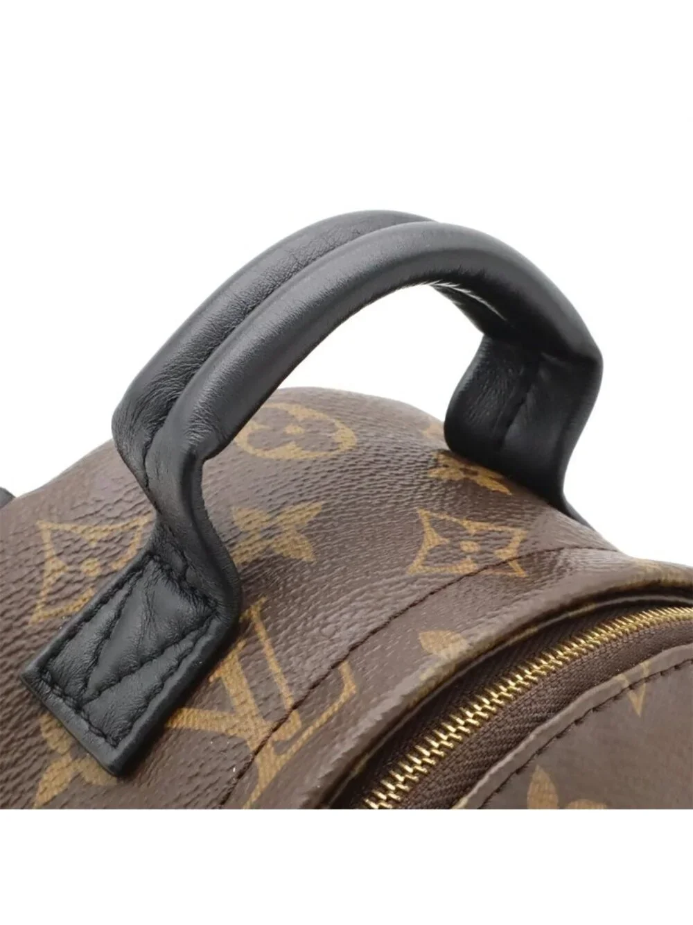 Louis Vuitton Monogram Palm Springs Backpack Mini 2-Way Shoulder Bag